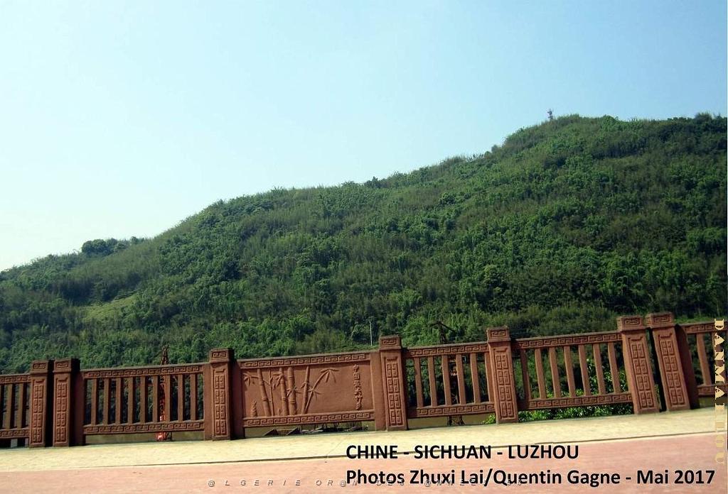 Luzhou 069.JPG